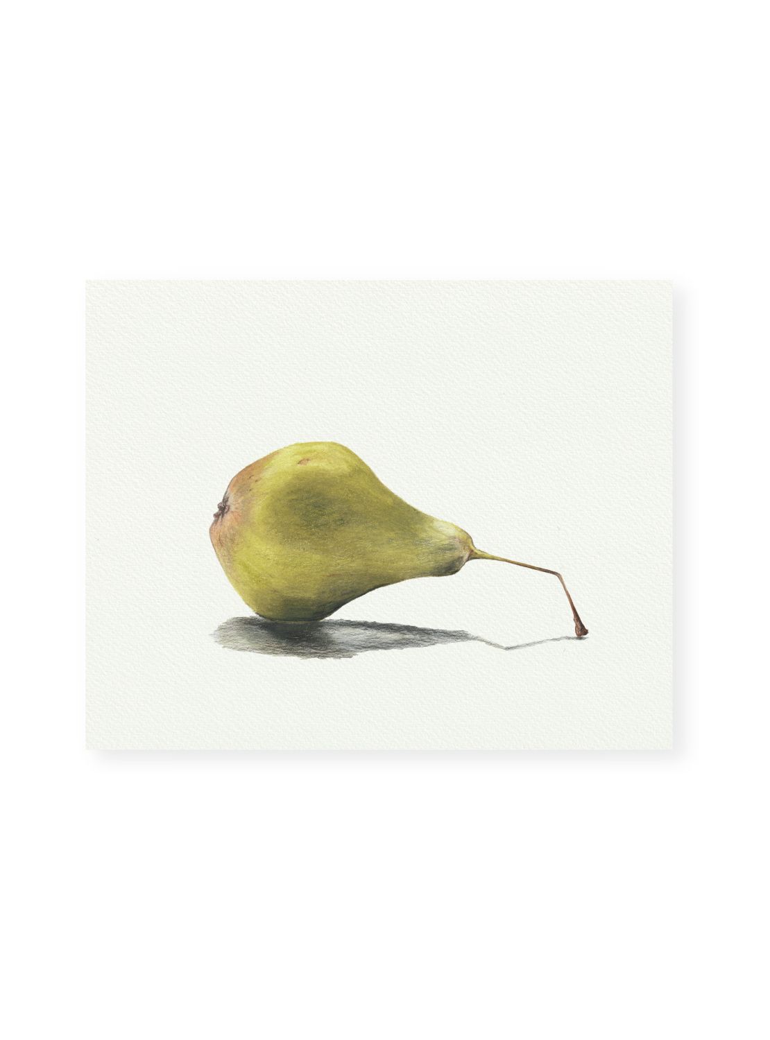 Pear No.2 Giclee Print