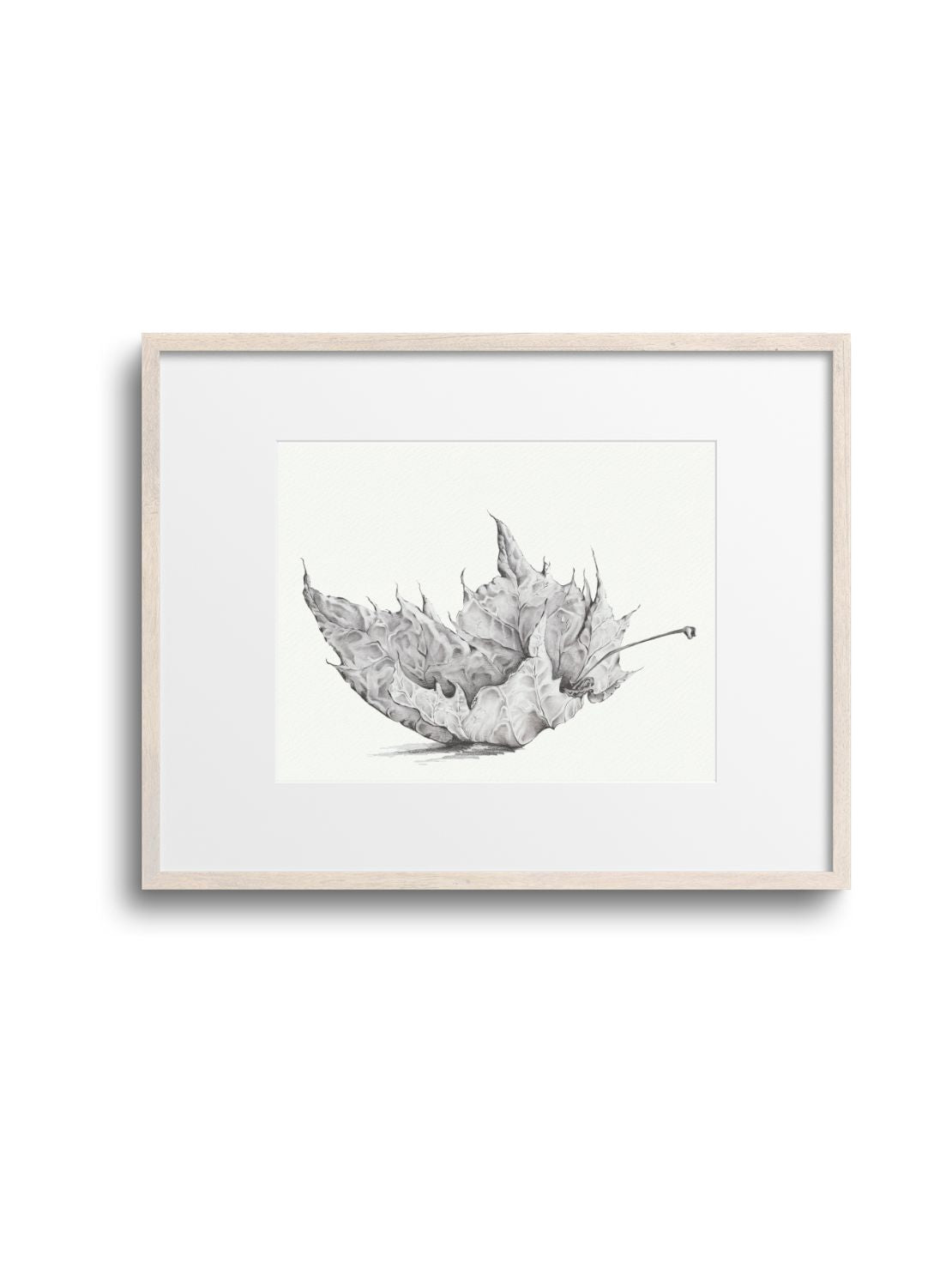 Graphite Leaf No.1 Giclee Print