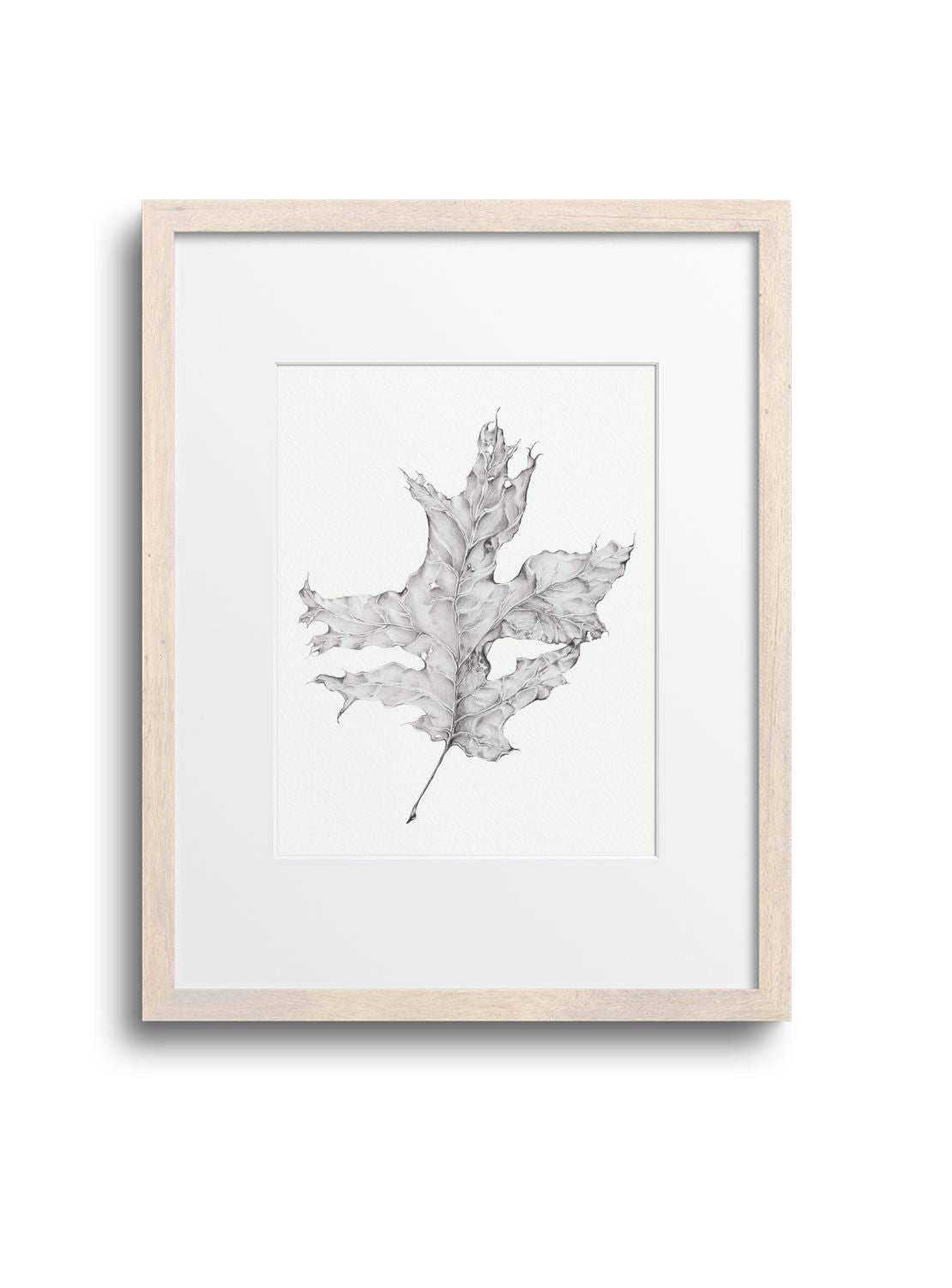 Graphite Leaf No.2 Giclee Print