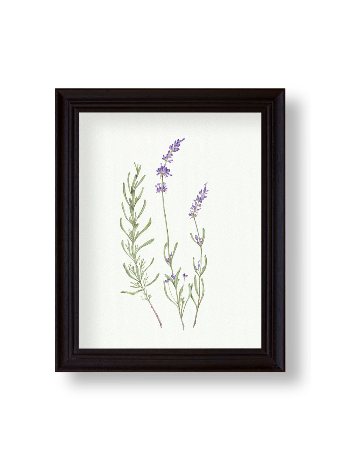 Lavender Giclee Print