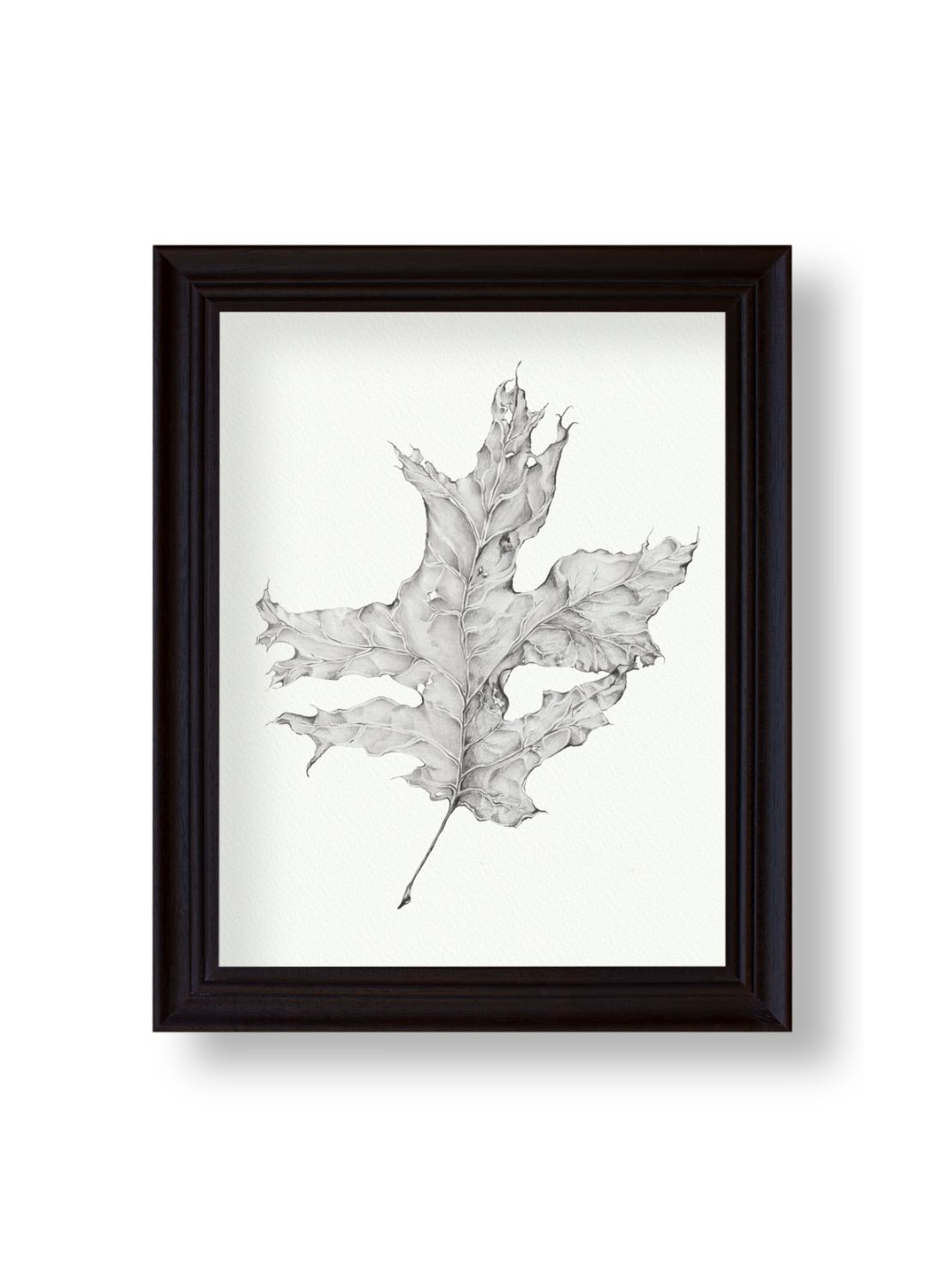 Graphite Leaf No.2 Giclee Print
