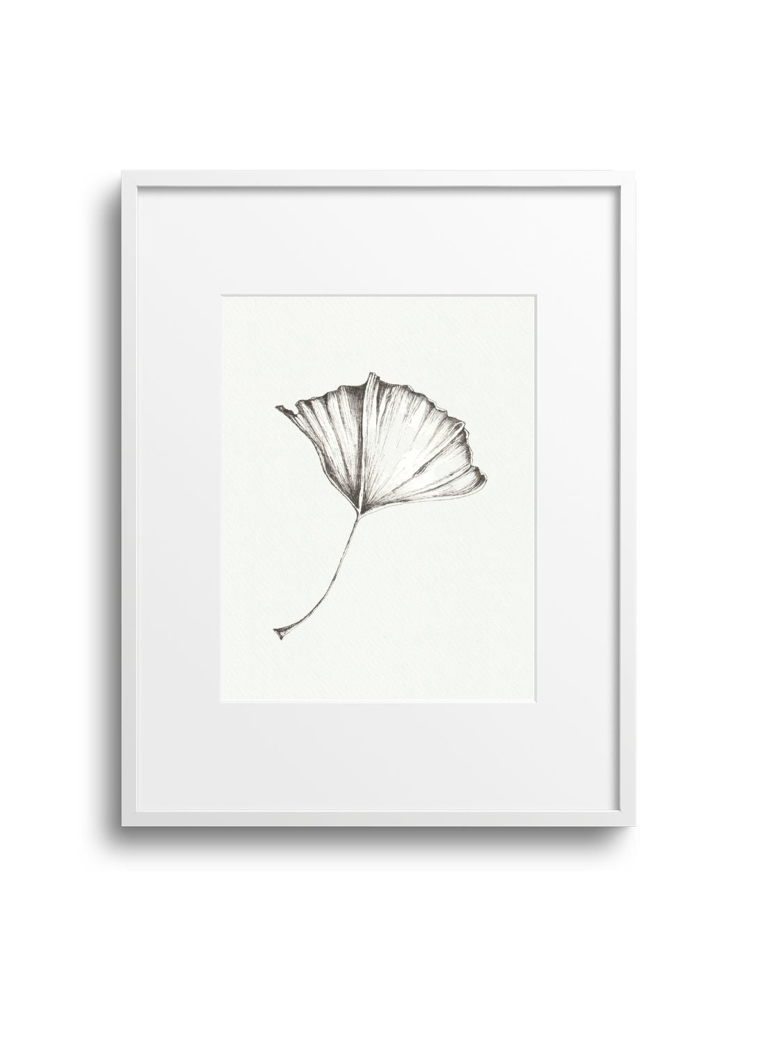 Gingko No.3 Giclee Print