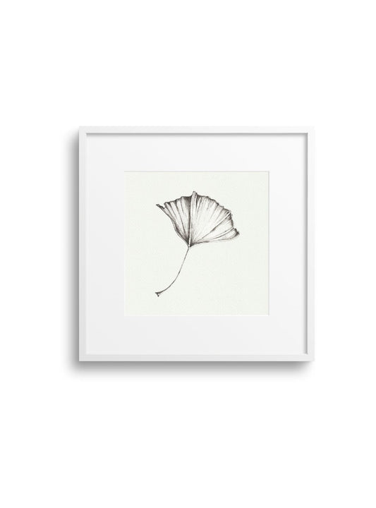 Gingko No.3 Giclee Print