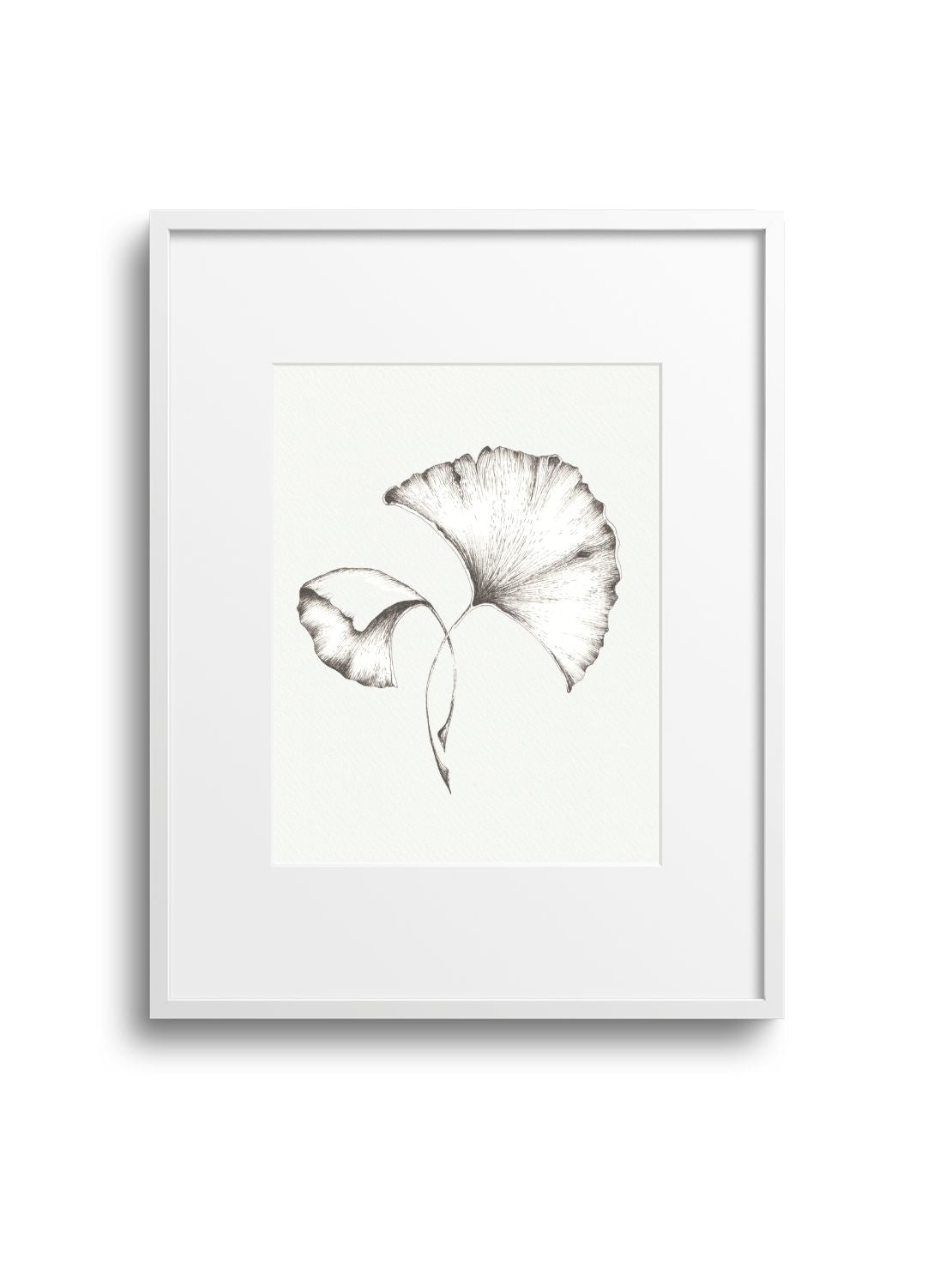 Gingko No.2 Giclee Print