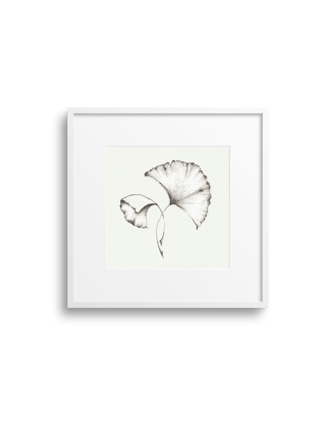 Gingko No.2 Giclee Print