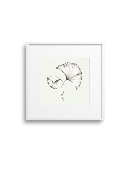 Gingko No.2 Giclee Print