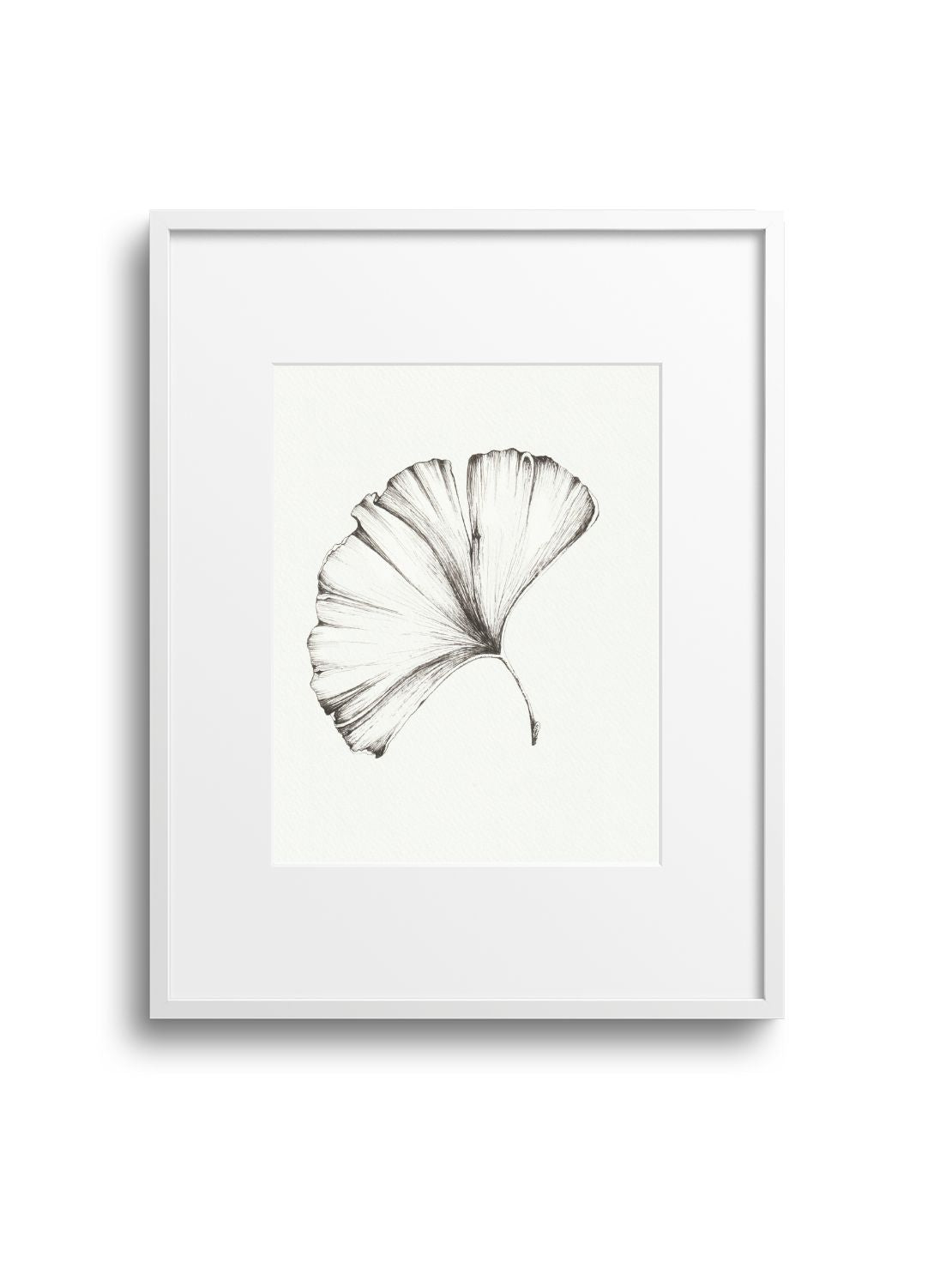 Gingko No.1 Giclee Print