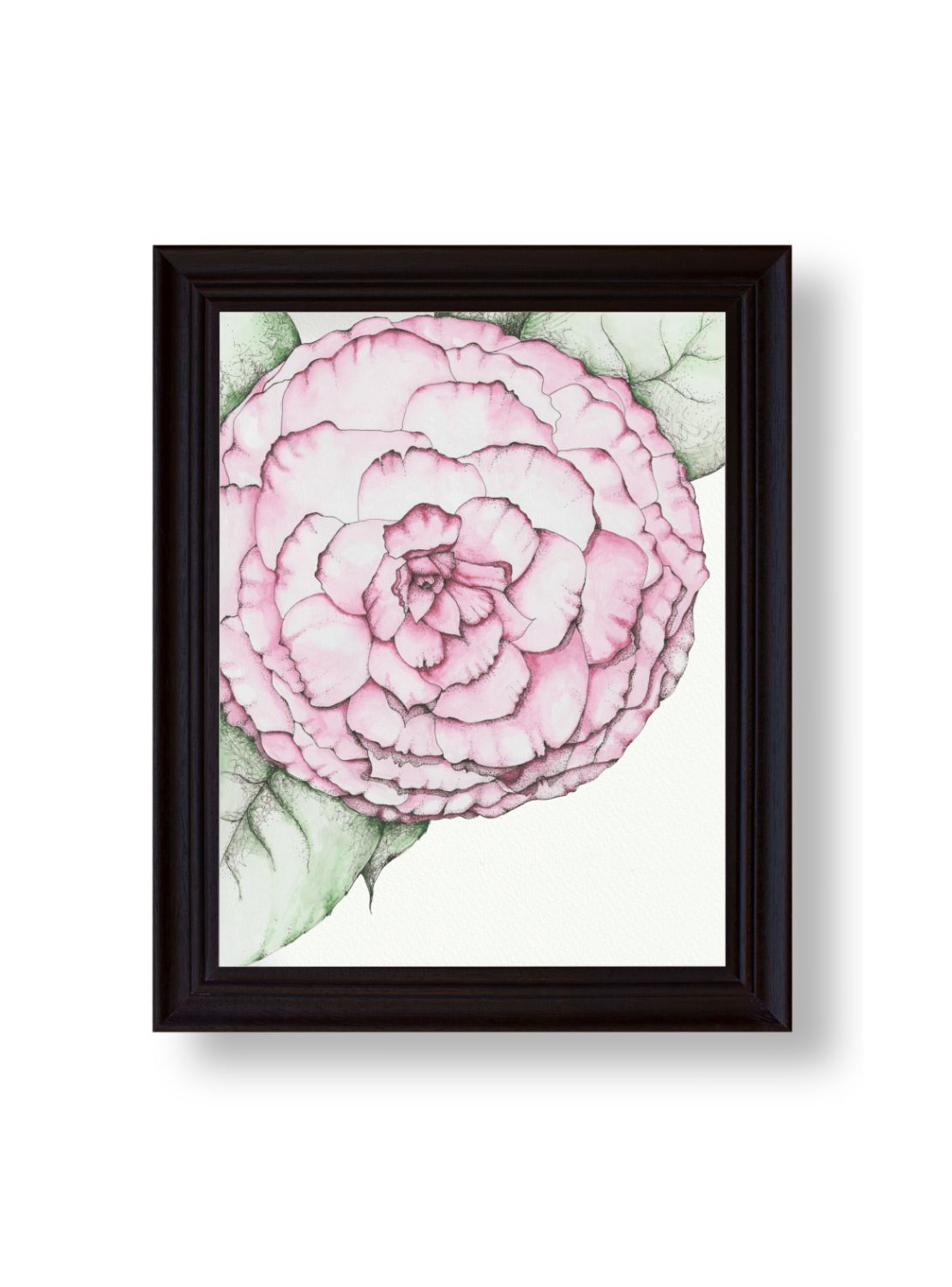 Camellia No.2 Giclee Print