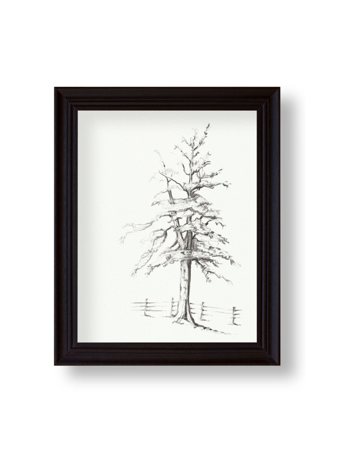Graphite Tree No.1 Giclee Print