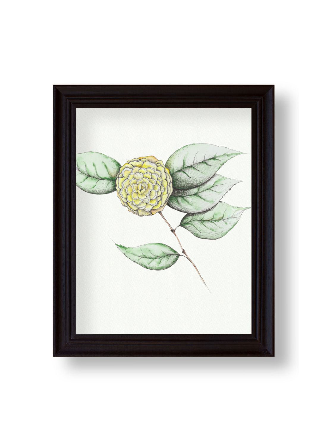 Camellia No.5 Giclee Print