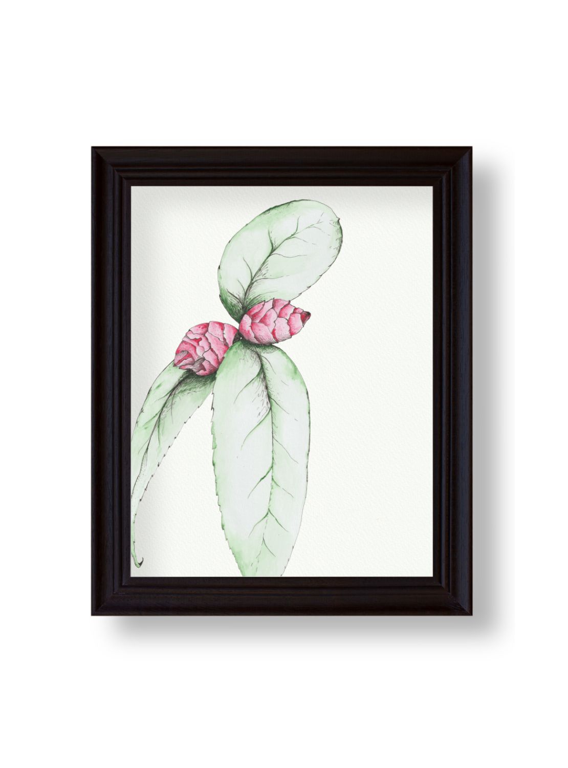 Camellia No.3 Giclee Print