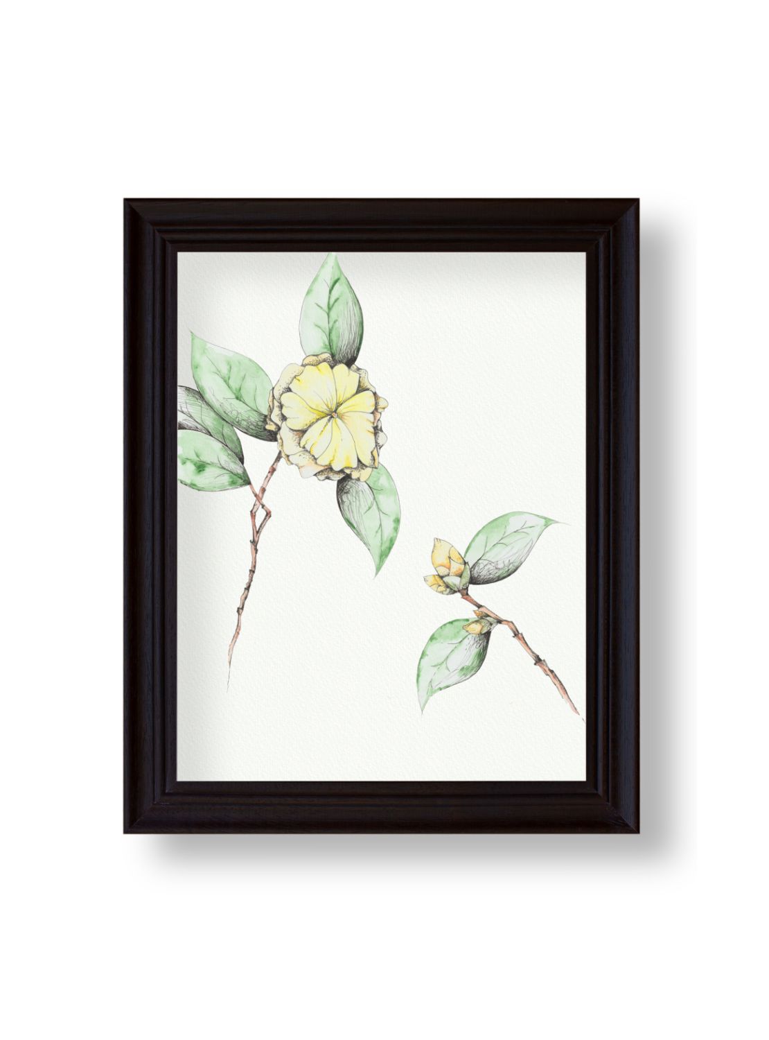 Camellia No.8 Giclee Print