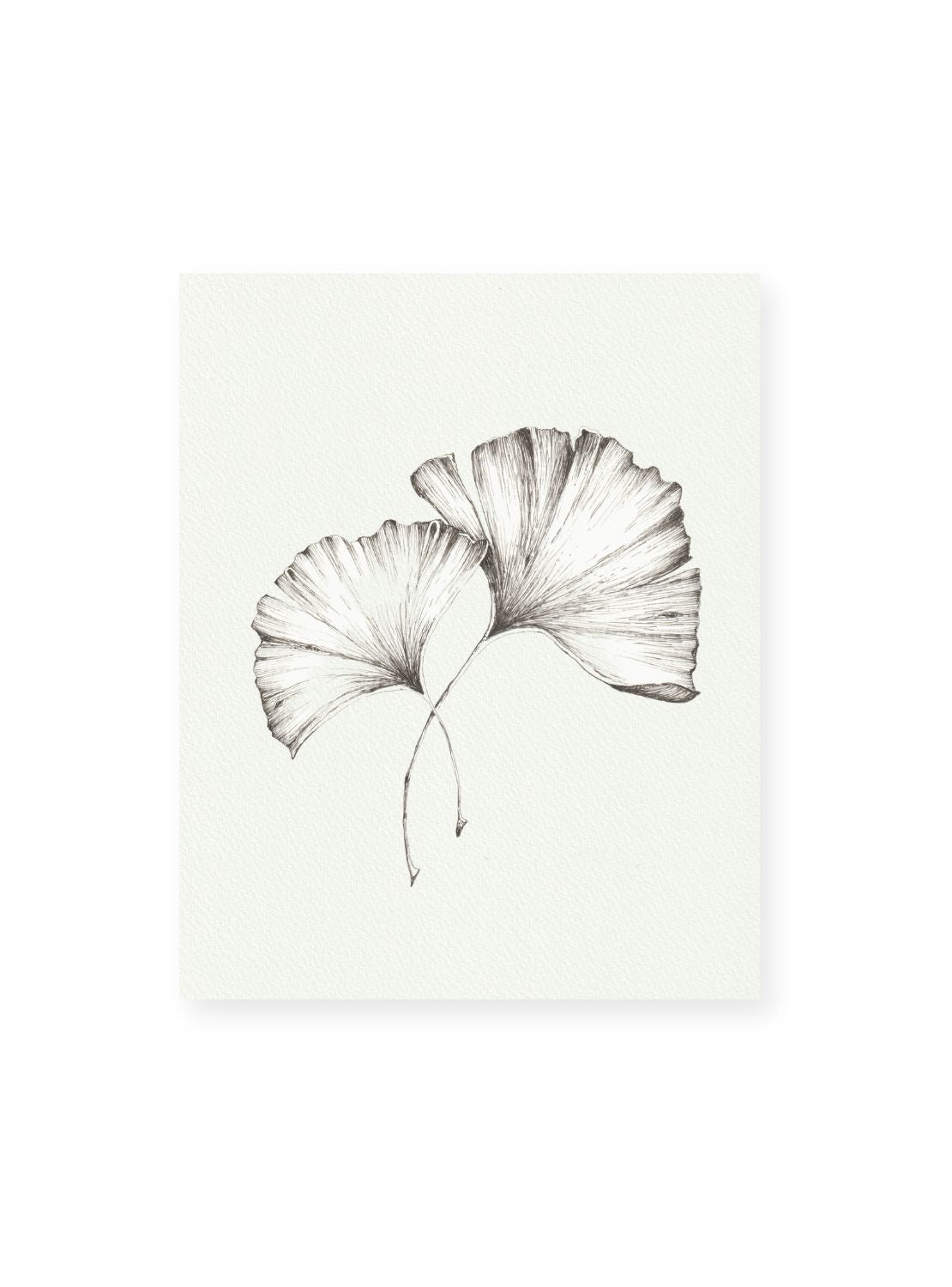 Gingko No.4 Giclee Print