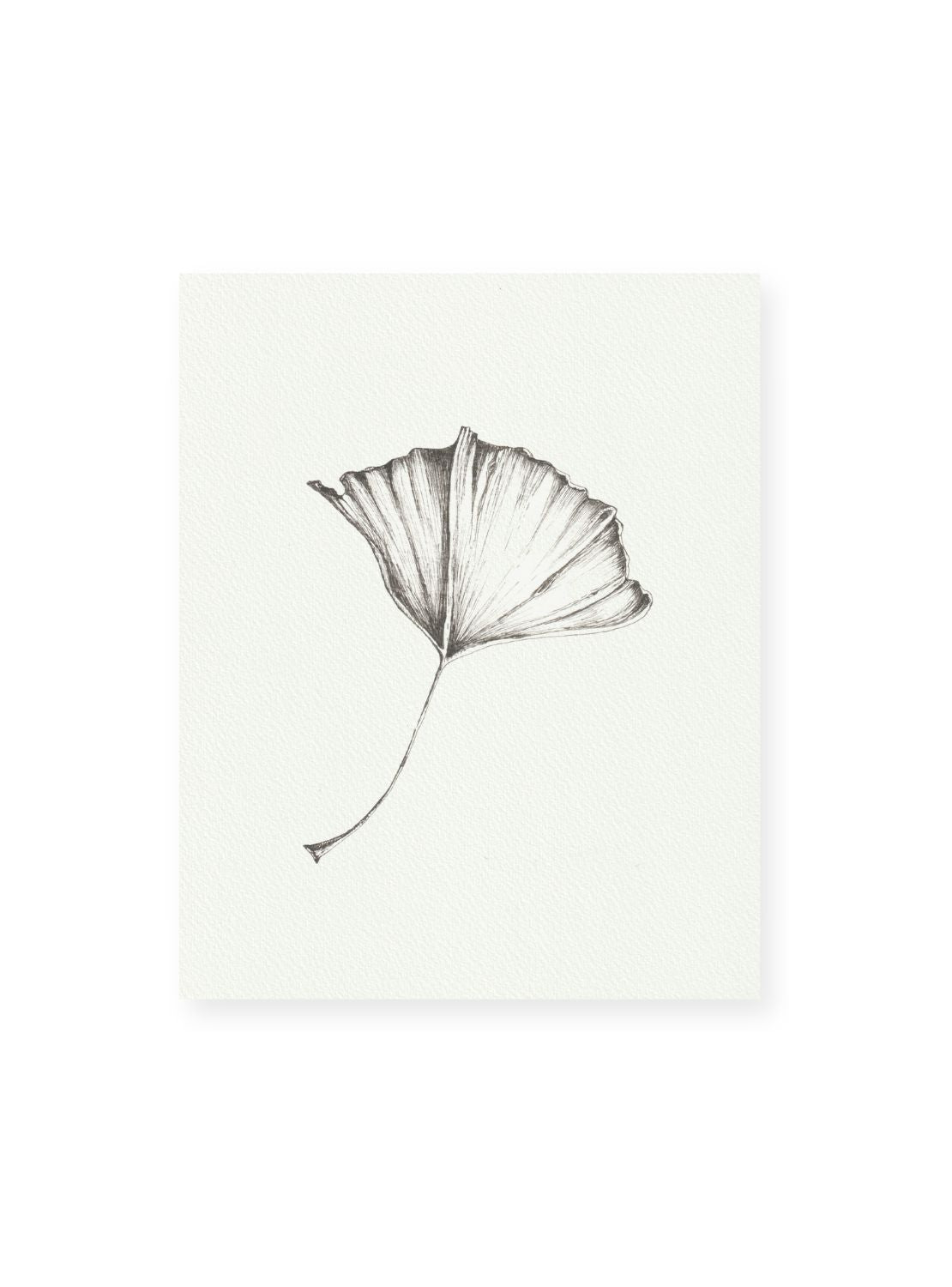 Gingko No.3 Giclee Print