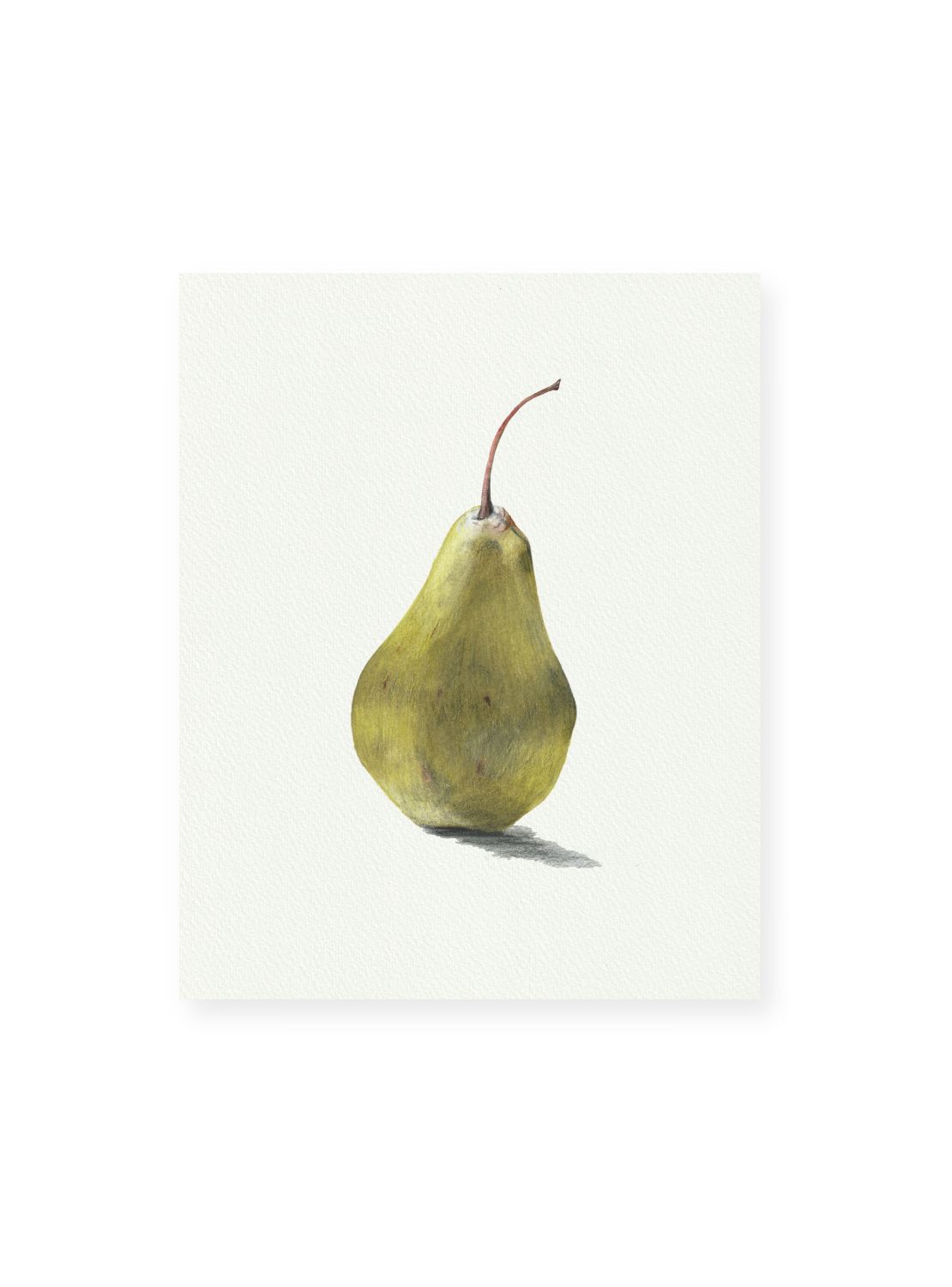 Pear No.1 Giclee Print