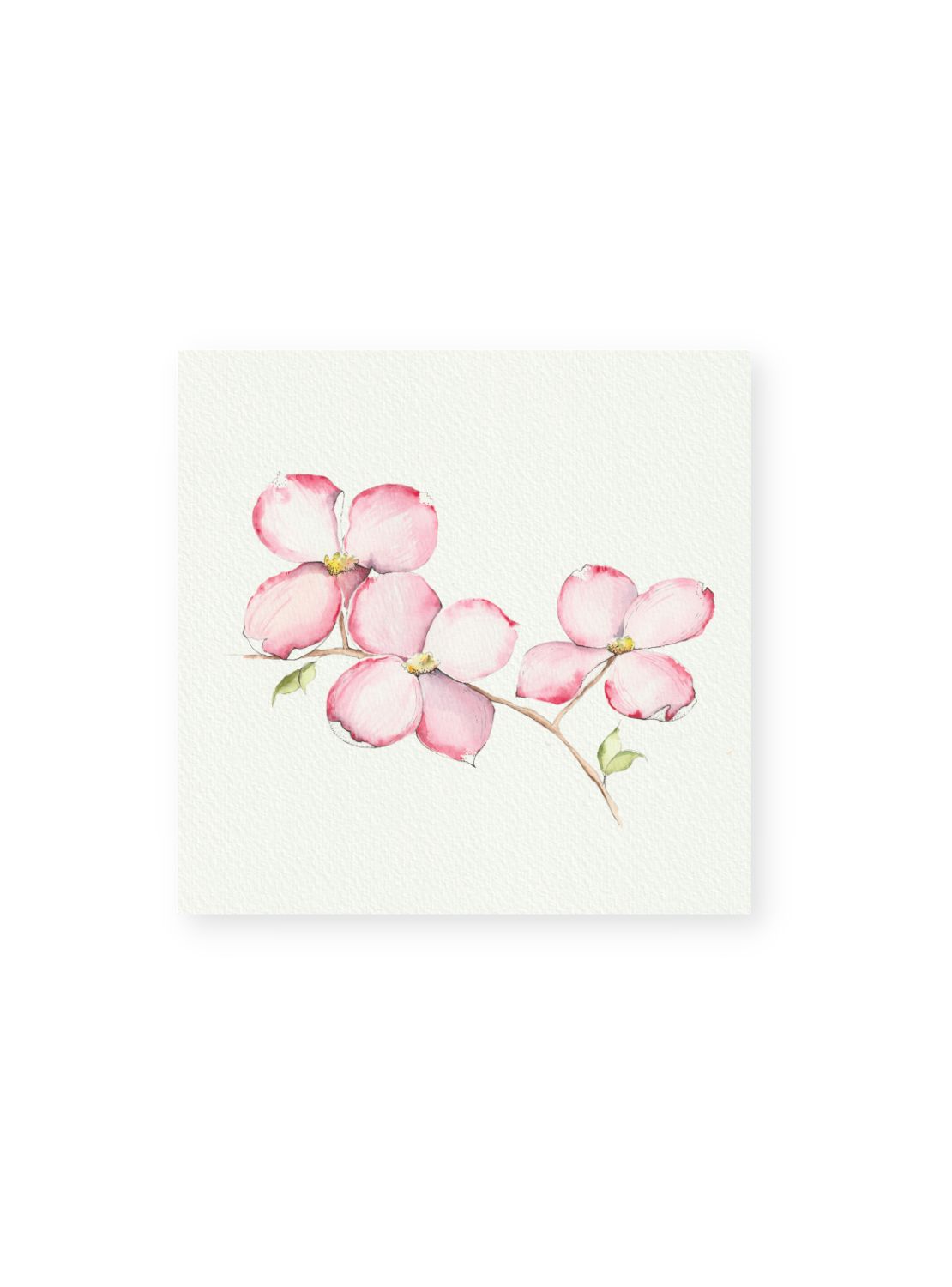 Pink Dogwood No.1 Giclee Print