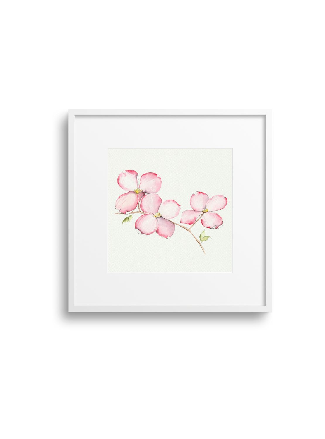 Pink Dogwood No.1 Giclee Print