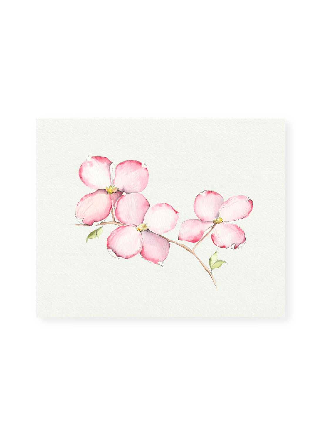Pink Dogwood No.1 Giclee Print