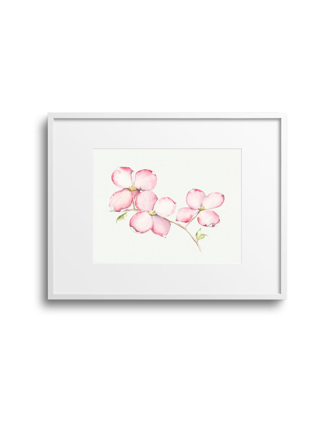 Pink Dogwood No.1 Giclee Print