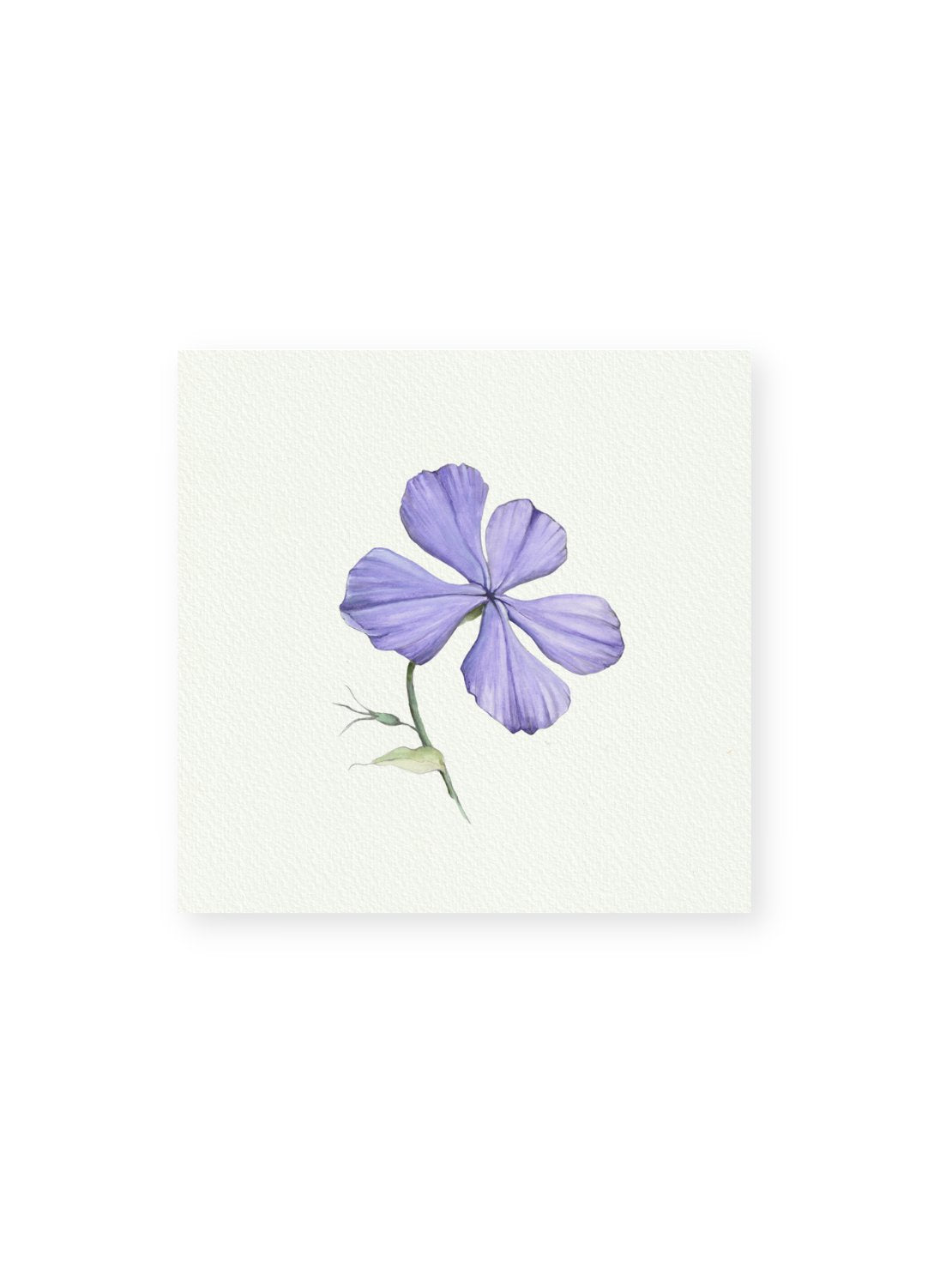 Art Prints