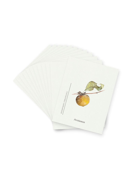 Persimmon Postcards