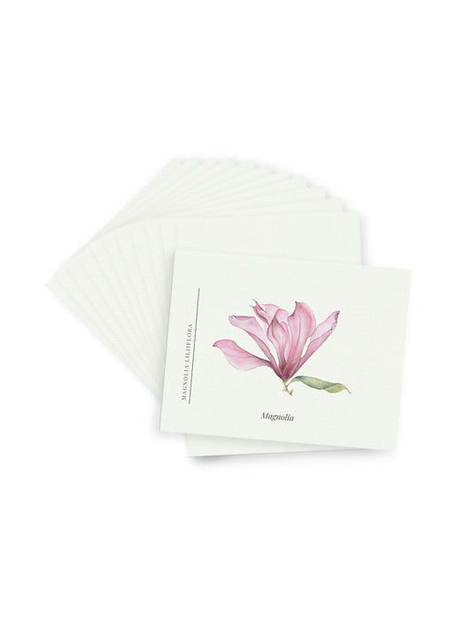 Pink Magnolia Postcards