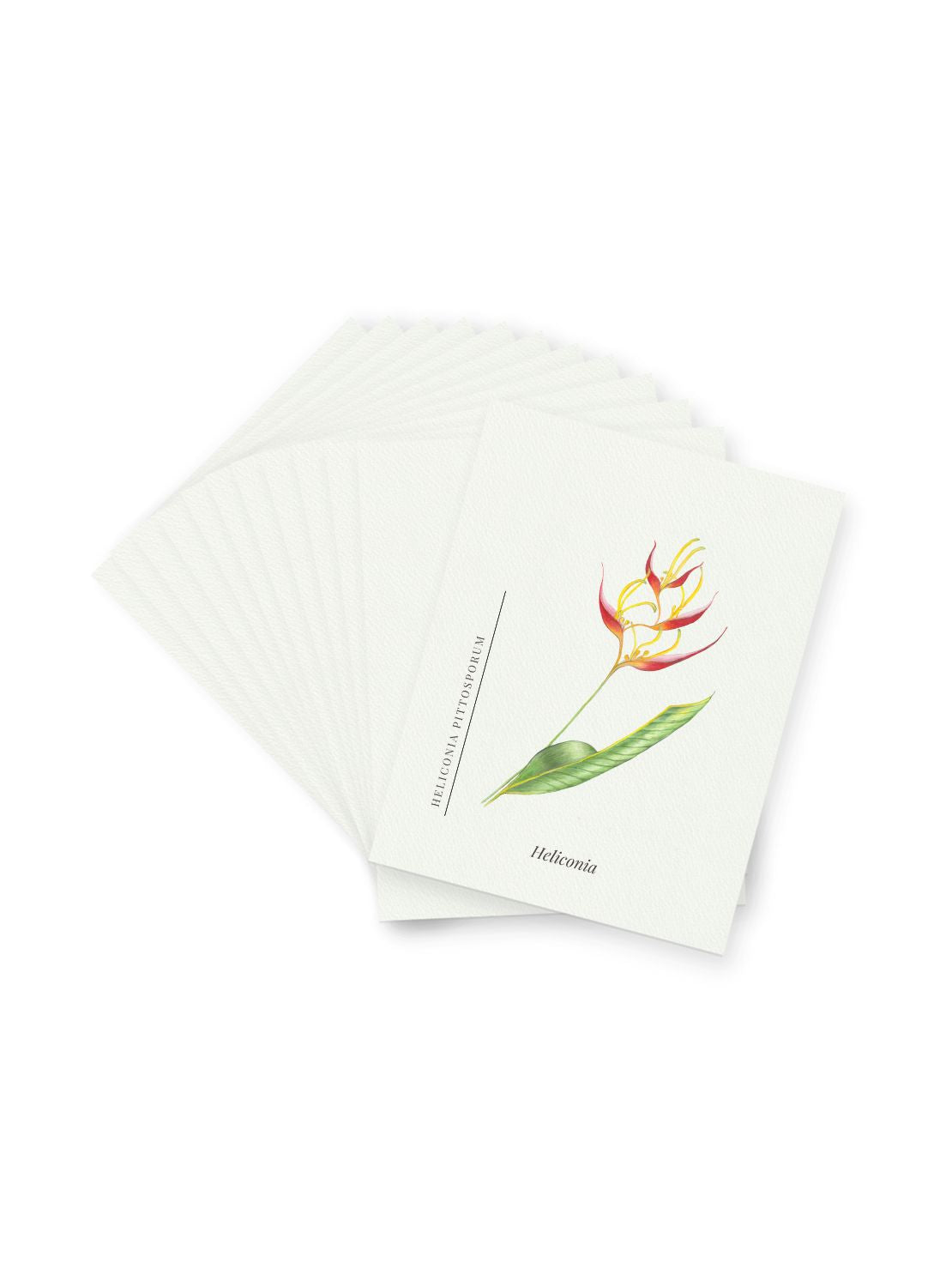 Heliconia Postcards
