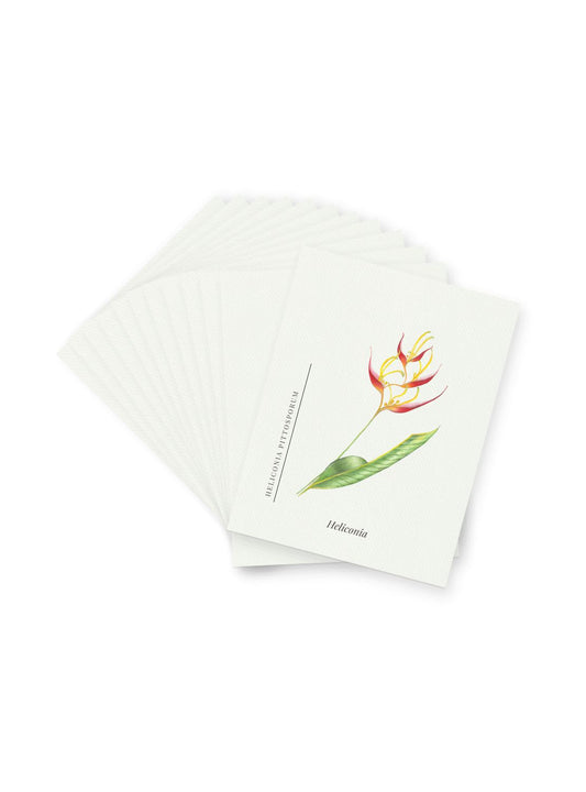 Heliconia Postcards