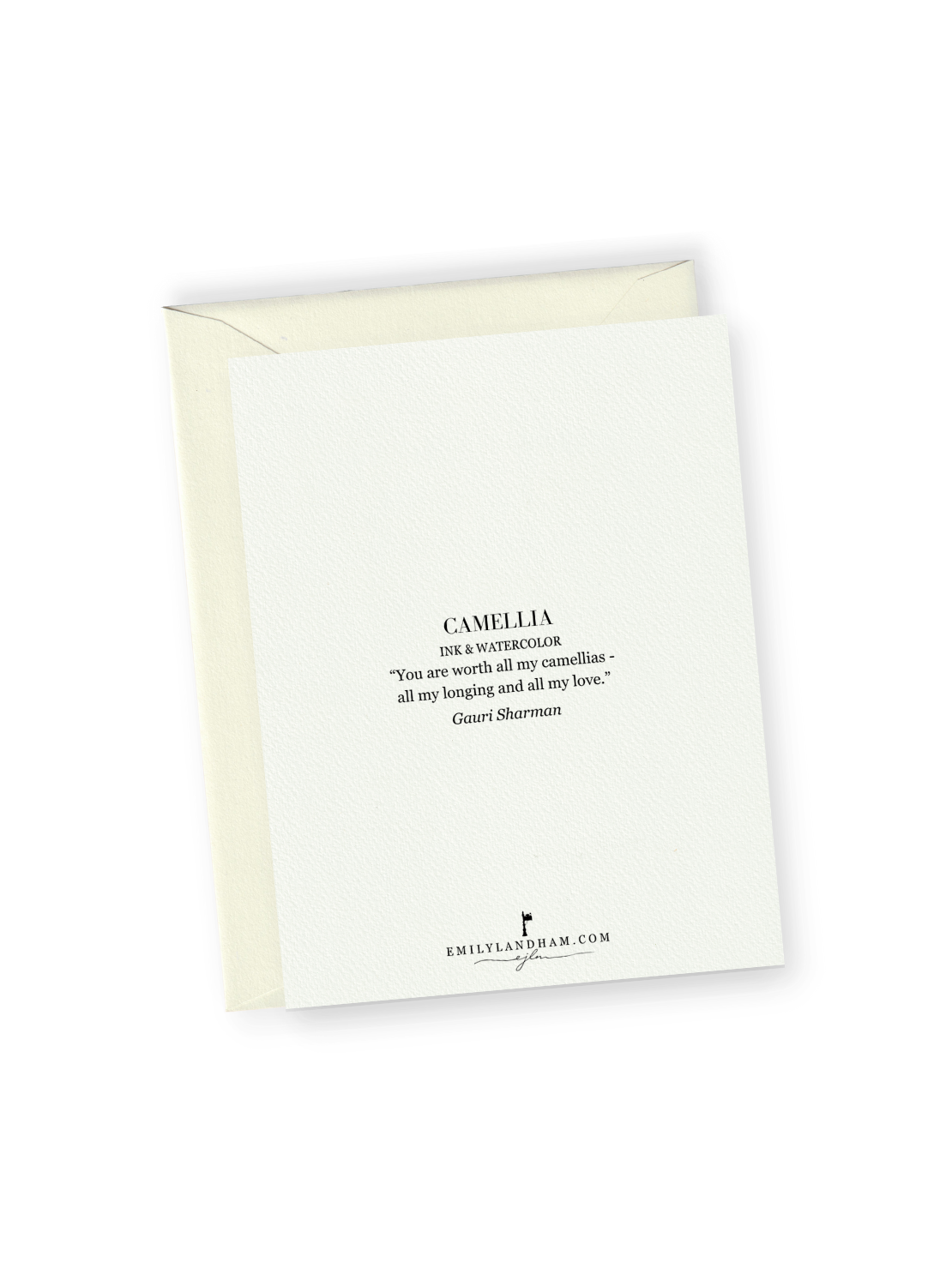 Camellia No.2