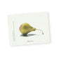 Botanical Collection Notecards
