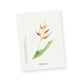 Botanical Collection Notecards