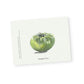 Botanical Collection Notecards