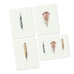 Feathers Greeting Card Bundle