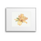 Yellow Rose Giclee Print