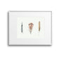 Feather No.4 Giclee Print