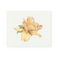 Yellow Rose Giclee Print
