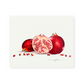 Pomegranate Giclee Print