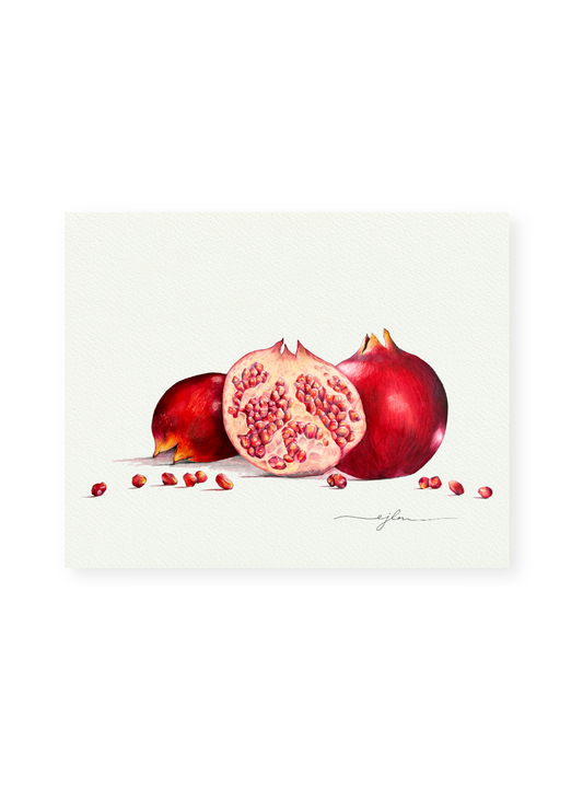 Pomegranate Giclee Print