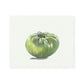 Tomato No.1 Giclee Print