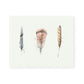 Feather No.4 Giclee Print