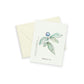 Blueberry Notecards