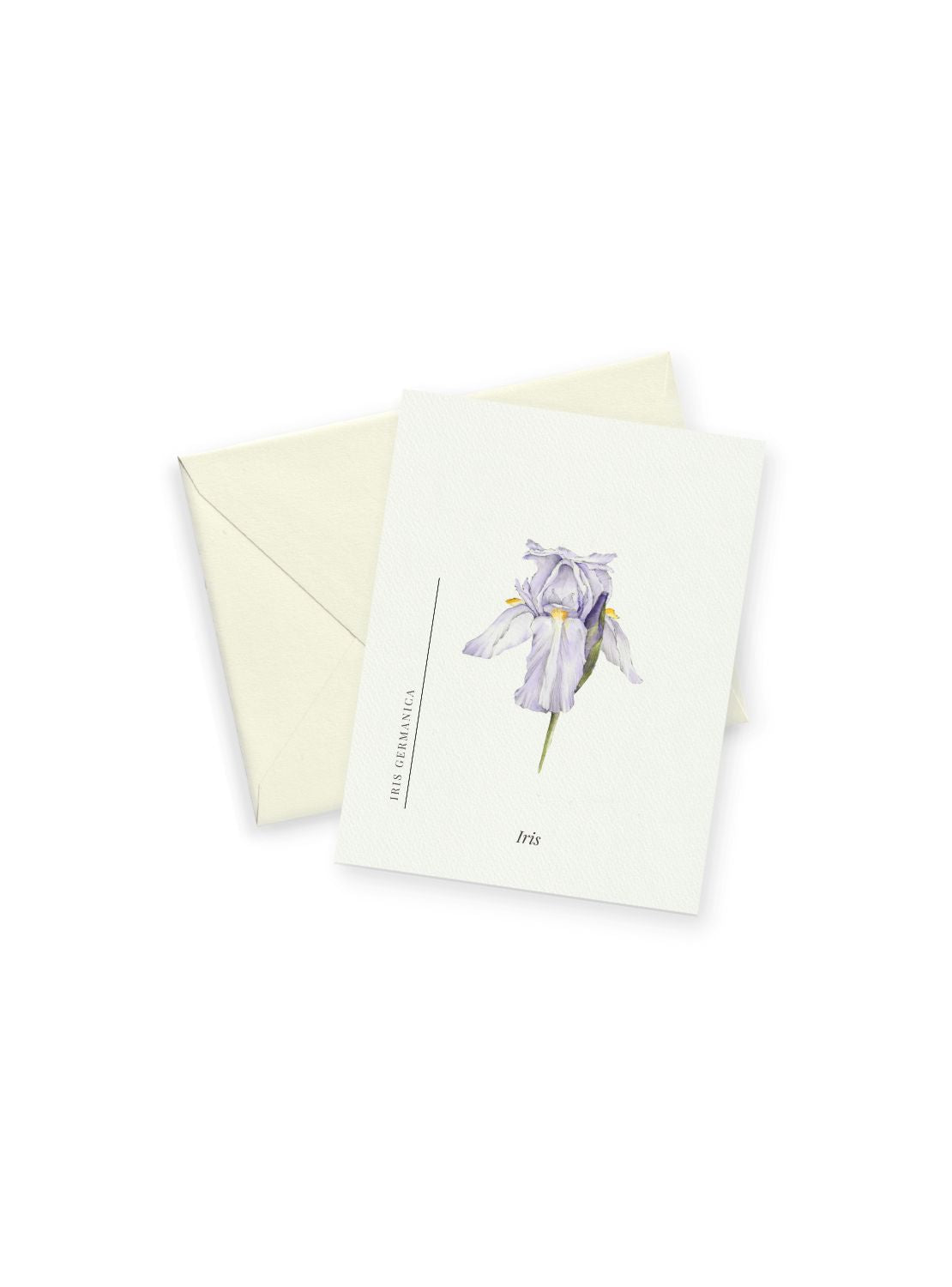 Purple Iris Notecards