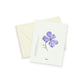 Purple Phlox Notecards