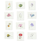 Botanical Collection Notecards