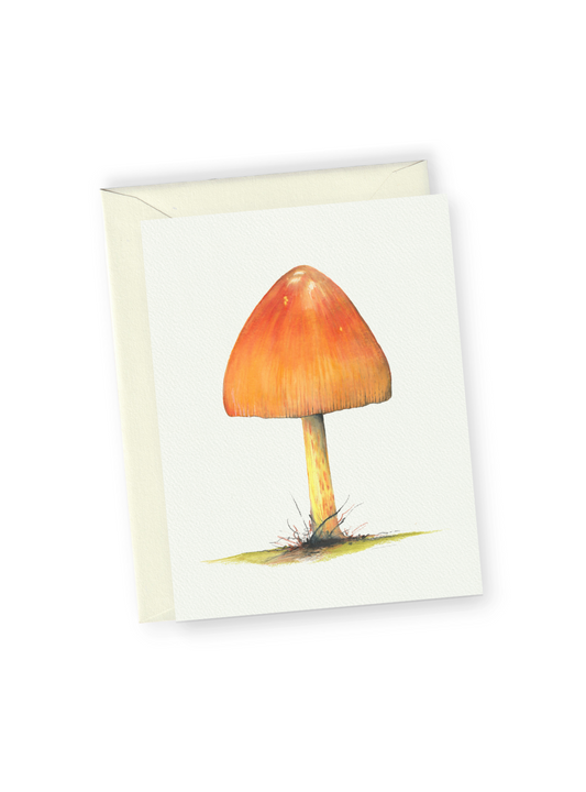 Orange Mushroom