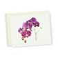 Purple Orchid Greeting Card Bundle