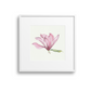 Pink Magnolia Giclee Print