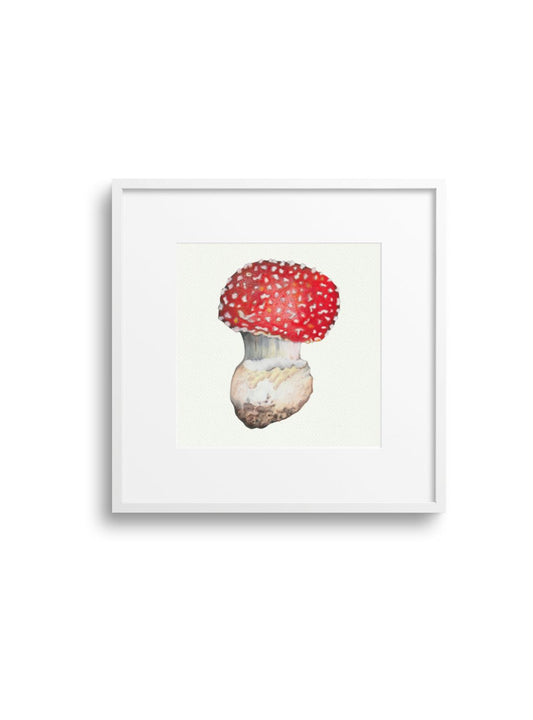 Red Mushroom Giclee Print