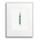 Feather No.1 Giclee Print