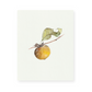 Persimmon Giclee Print
